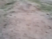 Онлайн-эровидеочат с CrazyBunnys на BongaCams 2023-07-20 03_42