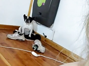Keilabassi77 бесплатное вебкам шоу и XXX чат _ xHamsterLive 2023-07-19 02_13
