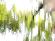 alexa-18