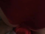gad135