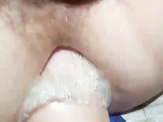 gad135