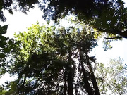 Онлайн-эровидеочат с Girl-Fire на BongaCams 2023-07-30 15_48