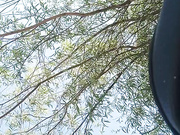 Онлайн-эровидеочат с Georgia777 на BongaCams 2023-08-08 14_44