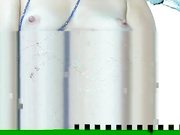 Cat_kush бесплатное вебкам шоу и XXX чат _ xHamsterLive 2023-08-08 17_07