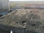 Онлайн-эровидеочат с CrazyBunnys на BongaCams 2023-08-10 17_02