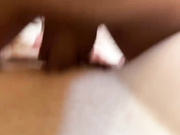 beeinside