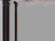 isilverfox_29.12