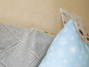 Lilo-Stitch 02.02.2024