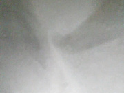 Lilo-Stitch 02.02.2024