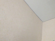 Lilo-Stitch 11.02.2024