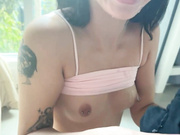 zebra1818 02.03.2024