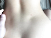 zebra1818 02.03.2024