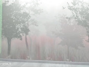 Sunshine13_