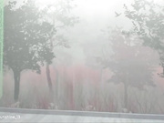 Sunshine13_