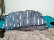 Онлайн-эровидеочат с MinniMia на BongaCams 2024-03-08 10_46