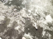 Онлайн-эровидеочат с LoveCatsuit на BongaCams 2024-03-23 12_28