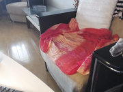 mlittlegirl88, angelnicolle, AngelNicollex, Nicolle2