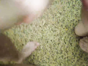 julia0114