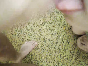 julia0114