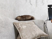 Alinka1979 28.03.2024