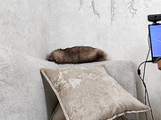 Alinka1979 28.03.2024