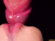 ДЕВИЦА САСЕТ ЧЛЕН