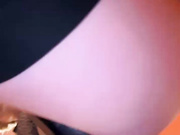 SSSATIVA_model