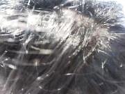 Онлайн-эровидеочат с Xxx_Alexa на BongaCams 2024-05-07 11_39