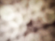 ViaGloW-1 20.05.2024