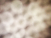 ViaGloW-1 20.05.2024