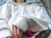 SSSATIVA_model