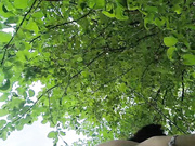 Онлайн-эровидеочат с Chris_Diamond на BongaCams 2024-06-13 08_29