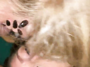 ДВЕ ДЕВИЦЫ СОСУТ ДВА ЧЛЕНА