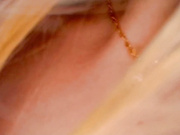 GabbieCarter сиськи-12