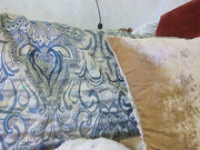 LittleDelora 07.07.2024