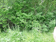 Онлайн-эровидеочат с _Sex-couple_ на BongaCams 2024-07-09 07_55