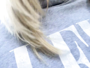 Legally_Blonde