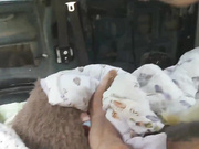 LinaRayPizdato 15.07.2024