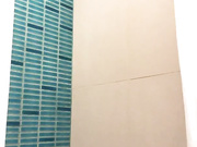 ДЕВИЦА В ДУШЕ