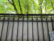 carolinaPiper