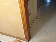 TvoiKoresha 17.07.2024