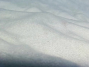 Sweetmysteryofthenight's Room @ Chaturbate - Chat in a Live Adult Video Chat Room Now 2024-07-2