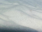 Sweetmysteryofthenight's Room @ Chaturbate - Chat in a Live Adult Video Chat Room Now 2024-07-2