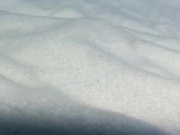 Sweetmysteryofthenight's Room @ Chaturbate - Chat in a Live Adult Video Chat Room Now 2024-07-2