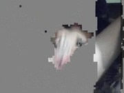 FamouseAngel