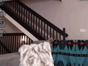 birdylovesit