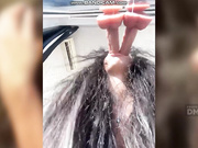 сосет 2 члена