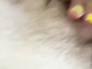 Oyster-lemon 28.07.2024