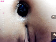 NikkaHOTx