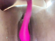Volly_lolly